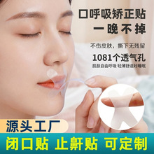 �ں����C�����]�����N˯�ߴ��Nֹ���N��􇣃�ͯ�ں����C���N��
