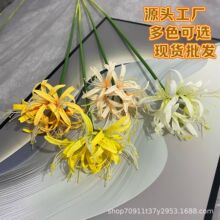 ����˰��������û�ǽ���滨�廨���Ļ����쾰�Ҿ������ٻ��