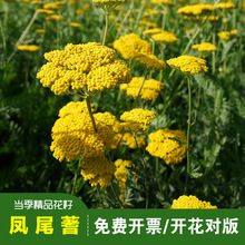 �Pβ��ݷN�ӻ��њW������޸��ͺ����л��̨��S��ֱ�N�̨����