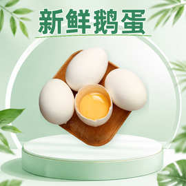 山东菏泽新鲜鹅蛋 一件代发6枚120-140g生鹅蛋整箱生鲜食材鲜禽蛋