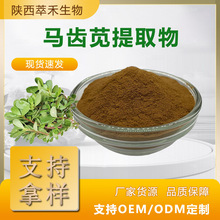 马齿苋提取物100：1 水溶性马齿苋粉 马齿苋浓缩粉 食品级 现货