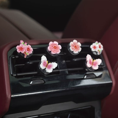 Fragrance Diffuser Decoration, Car Perfume Aromatherapy