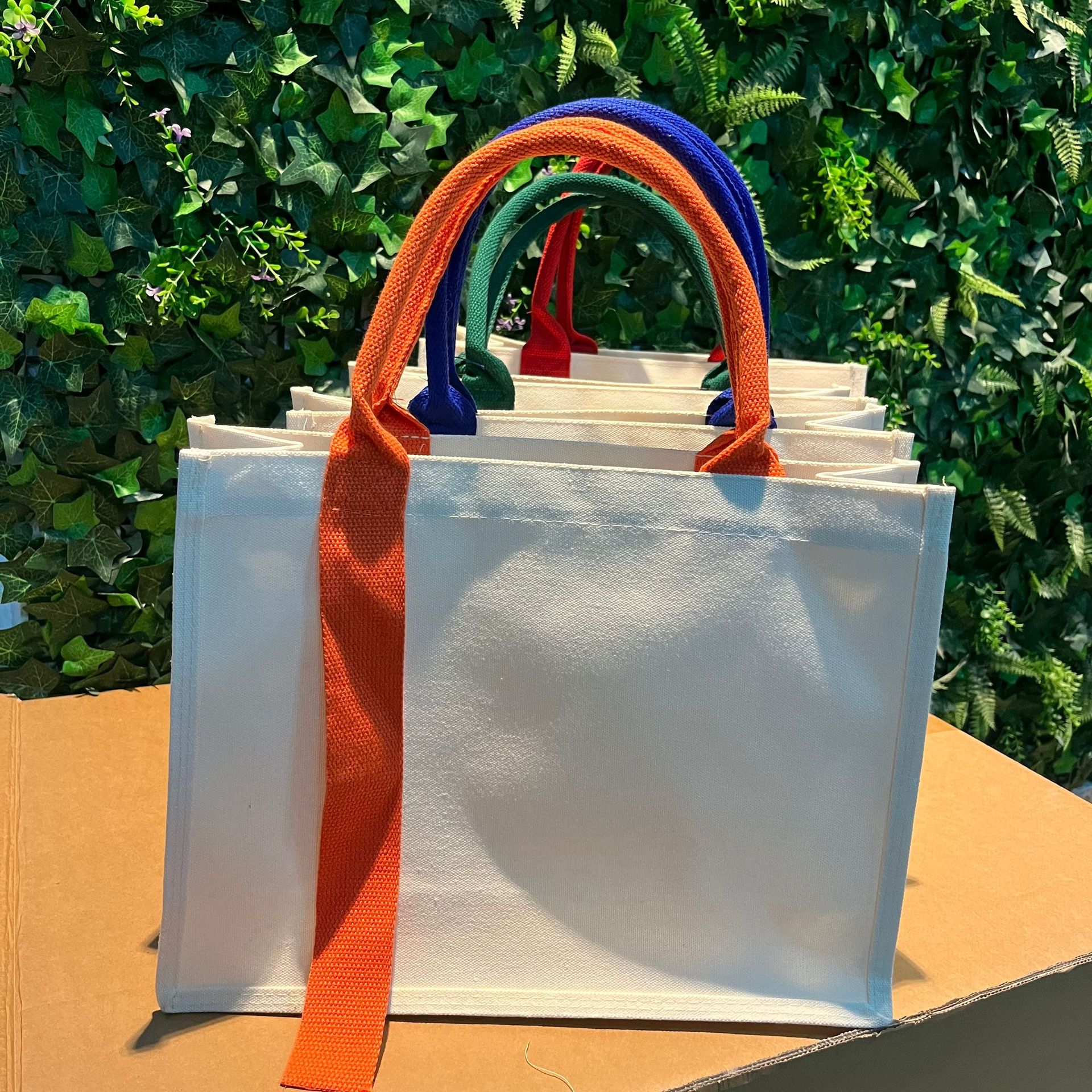 QQ图片20240224153747