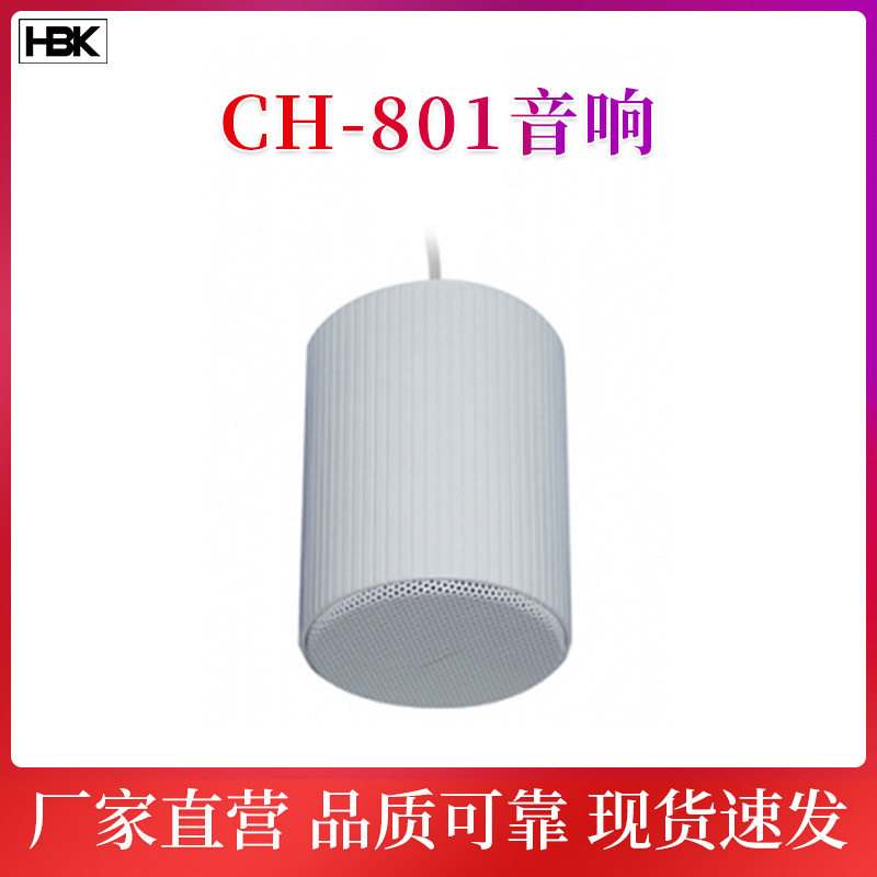 吊装喇叭/扬声器