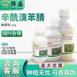 �x�S韱M30%�����屽�����²˴��[���������~�s���rș���݄�