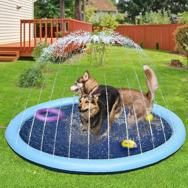 81ai2iD1wmL._AC_SL1300