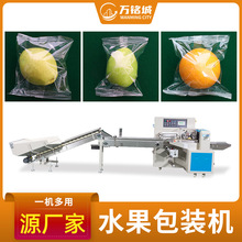 厂家直供水果包装机 全自动橙子打包机 柠檬橘子多功能枕式包装机