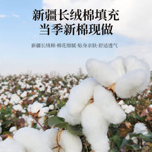 新疆一级长绒棉被花被子被芯冬被棉絮棉芯铺床六八十斤1.5米
