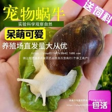 ΁ţ���l�W���^�p����΁ţ�[�����l���۰���΁ţ��ֳ�^�p����*