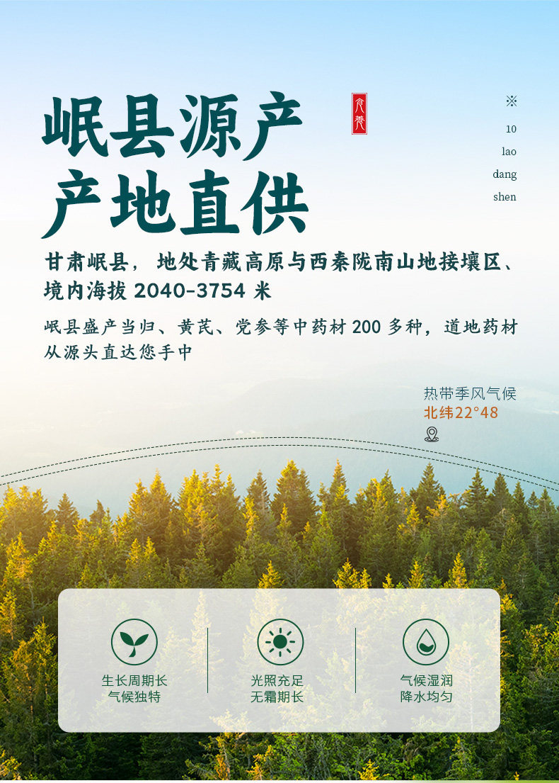 Dried Codonopsis Root Dang Shen 500g Medium Strips with Astragalus for Tea and Soup specifications