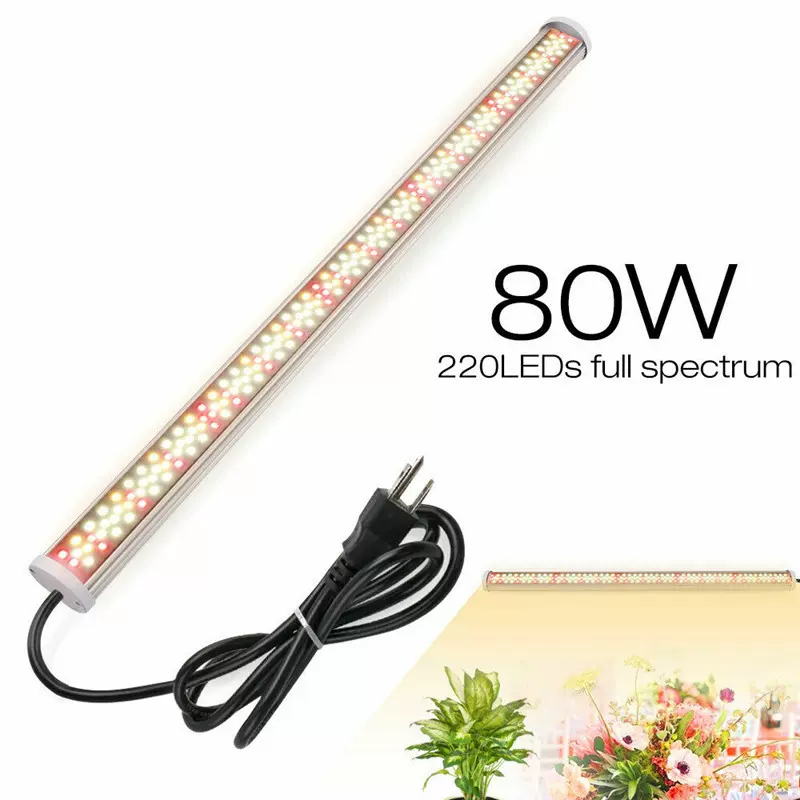 高能效组培育苗水培温室大棚蔬菜生长多肉补光大功率全光谱led植