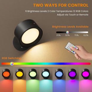 2026�¿����֧�ܿ羳�o�����Š��^�ڟ�Ͷ�����b��RGB16ɫ�ڟ�