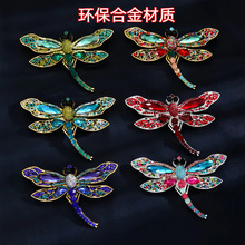 �W���ߙn�荴���������Ů�߼���С�����Ԅeᘏ͹��ػ����b���