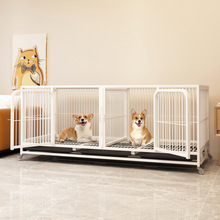 ���\��С��Ȯ�����д��͌��ﷱֳ؈�\�ӹ������ڼ��Î�������ĸ�\