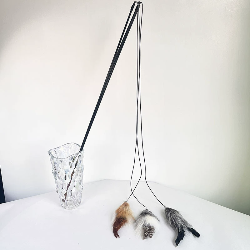 Волосатые перья лисы дразнят кошачью