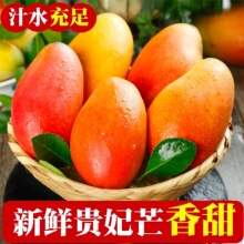 �V���a�F��â�����r�Fժ��������Ƥ���������֭��С