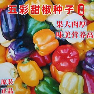 �ʽ��߲��𽷷N���M������𽷷N�Ӹ߮a�ļ����������\�����߲���