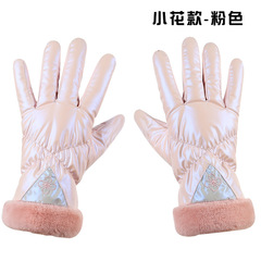 Cross-border winter women's ski gloves touch screen warm plus velvet thickening outdoor riding waterproof windproof cold protection cute