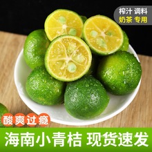 新鲜小青桔海南金桔奶茶店青柑皮薄应季当季水果柠檬新鲜整箱橄榄