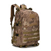 Climbing sports capacious backpack, worn on the shoulder, 3D