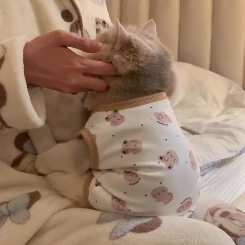 고양이 봄과 가을 옷 귀여운 강아지 집 옷 테디 BICHON 작은 강아지 애완 동물 가을 옷 도매