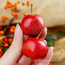 ɽ����r����������ɽ��tˮ�������Ǻ��J�Fժ�r���ݾ�ˮ�����]