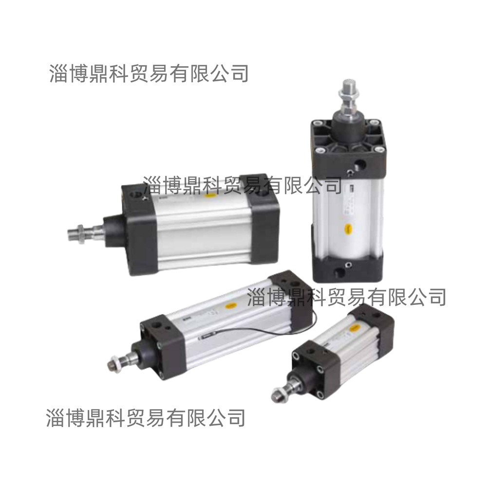 供应派克汉尼汾PARKER正品气缸气动元件P1K-S040DT-0125特价