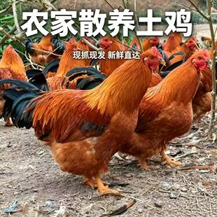 ���hɢ�B鎸������u��u��ֻ���u�ߵ��u�������ڏV�|�~�u���u
