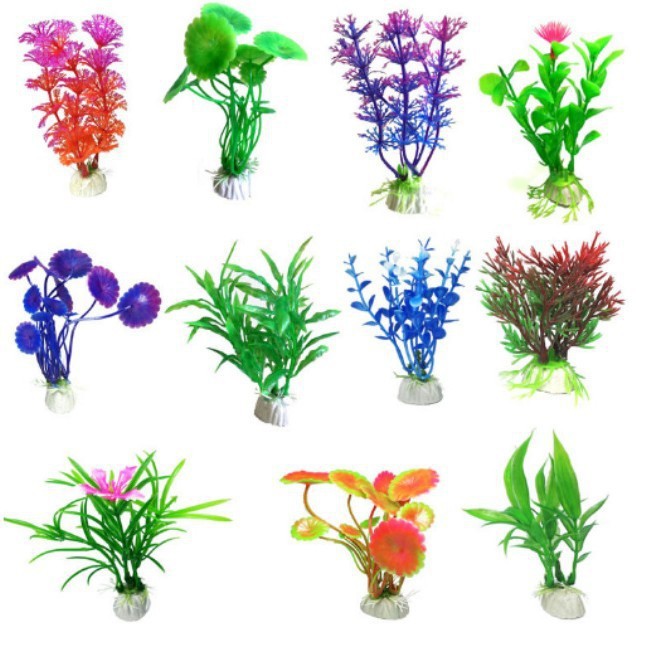 수생식물 [1발 3발 쏘기]