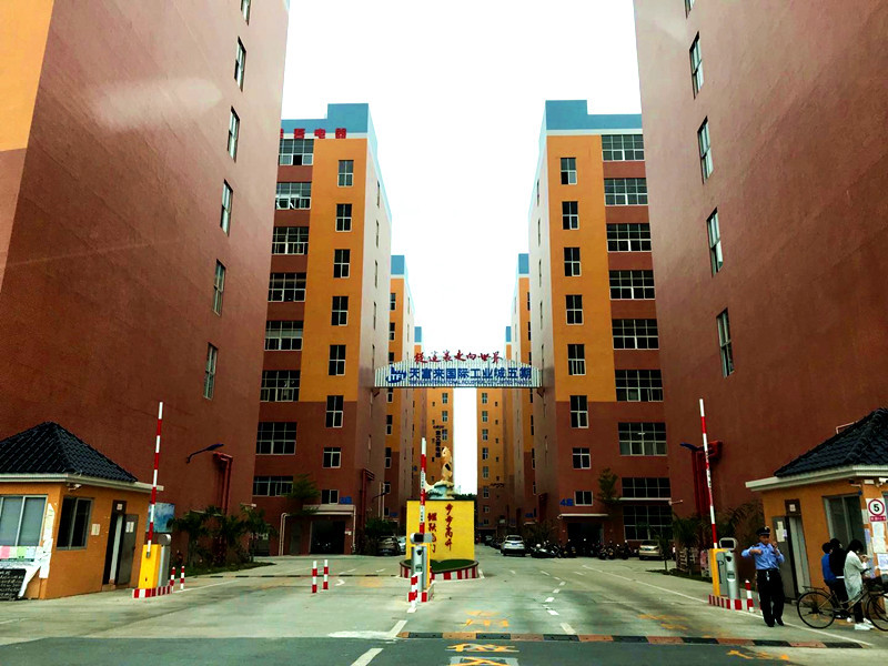 IMG_8593(20200311-112609)_副本【.