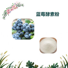 �����R˹���� �{ݮ���ط� ���ܷ� ���F����� 2kg���� ����ă�