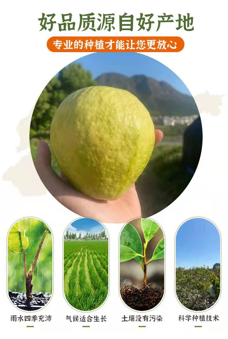 59008621-1a08-4a03-a3ab-6d88952decb6.jpe