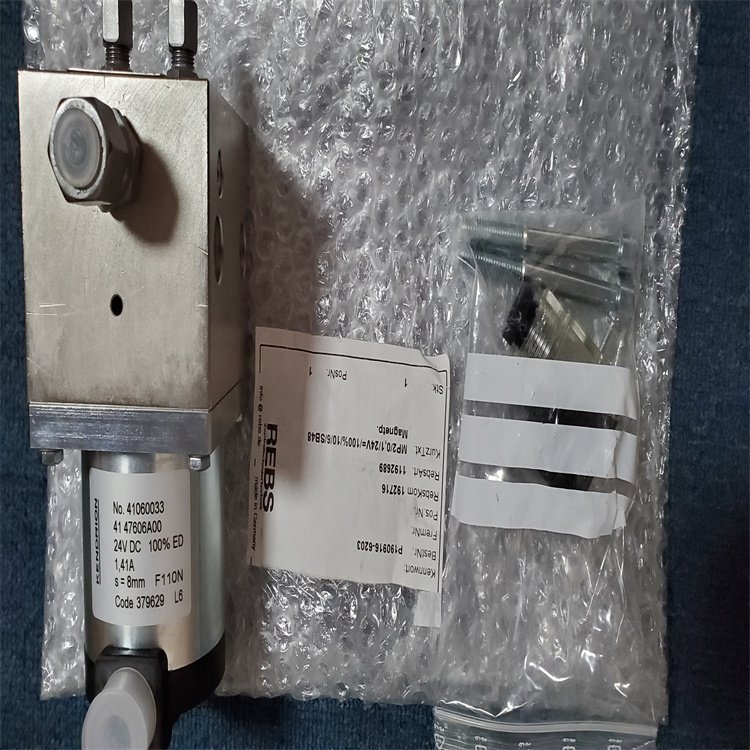全新原装REBS1192689保证正品莱伯斯电磁泵REBS