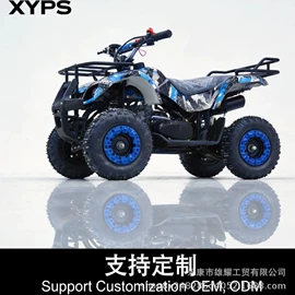 沙滩车;汽摩制造;其他摩托车