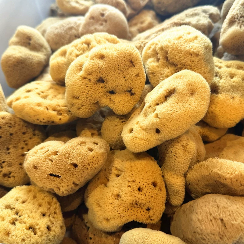 Органическая губка для ванны, детский гигиенический продукт для купания, детский шарик для ванной из морских водорослей для умывания лица