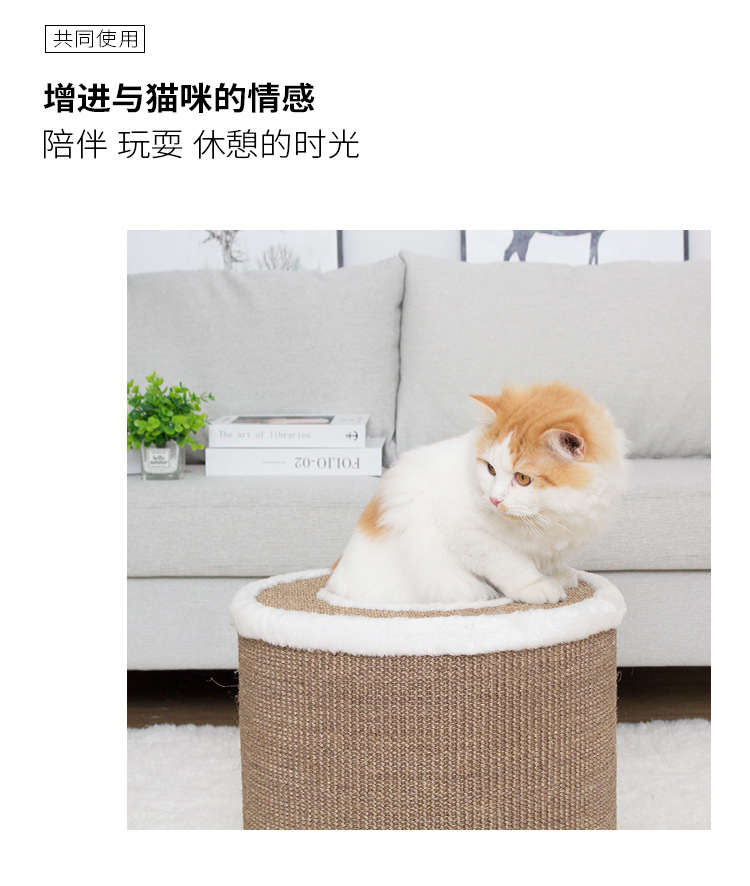 详情_02.jpg