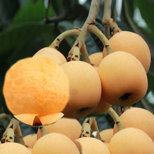 �����������������ش��ϱ�������o�����R�����޽����˘�������