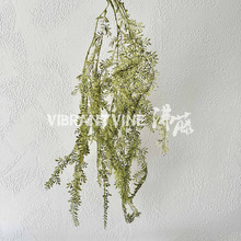 仿真悬挂藤条人造柳藤家居客厅软装植物摆件绿色系婚庆吊顶绿植