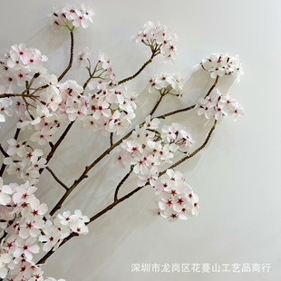 �滨 �����O���� �U�L��ˇ ���`�� �⾳��ˇ�OӋ