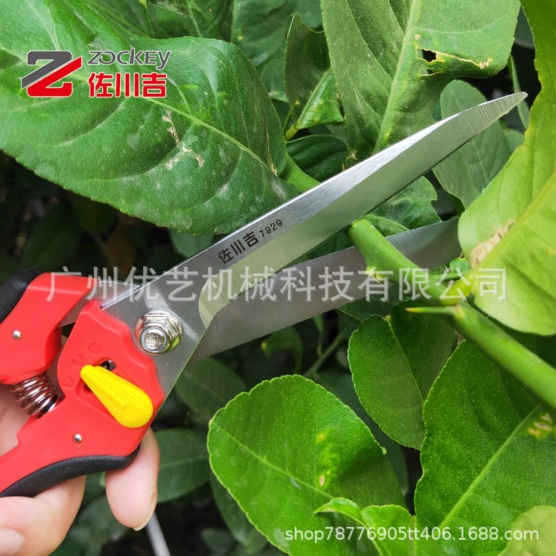 台湾佐川吉7929修枝剪绿化园林省力园艺粗枝树枝花枝剪子修剪工具