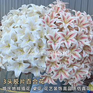 ���滨�ָ�3D�zƬС�ٺϻ���ˮ�ٺϻ�c���滨�Ҿ��bٻ�
