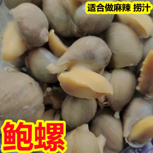 ���rˮ�a���l���r����U���S���U�������_���U�~��֭�����U��ԭ��