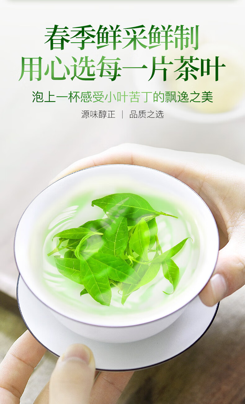 Small Leaf Kuding Tea Ku Ding Cha Loose Buds 10g Sample Tin Traditional Wellness Brew in use