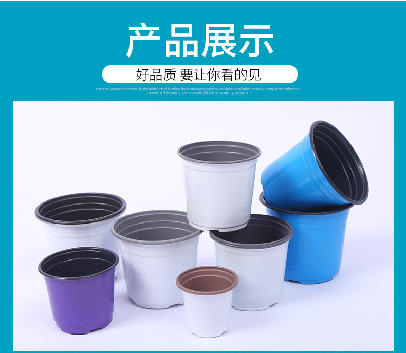 O1CN01RZsb0M1QDwEmDTgXx_!!2211