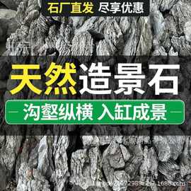 青龙石景观石溪流石鱼缸造景石盆栽真石头草缸假山小块盆景微景观