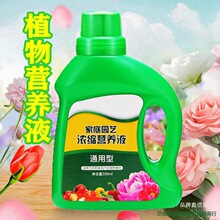���ϻ����B��ֱ�N�@��ͥ���Ի��ʝ�s�~���ͨ��ֲ��I�BҺˇˮ��