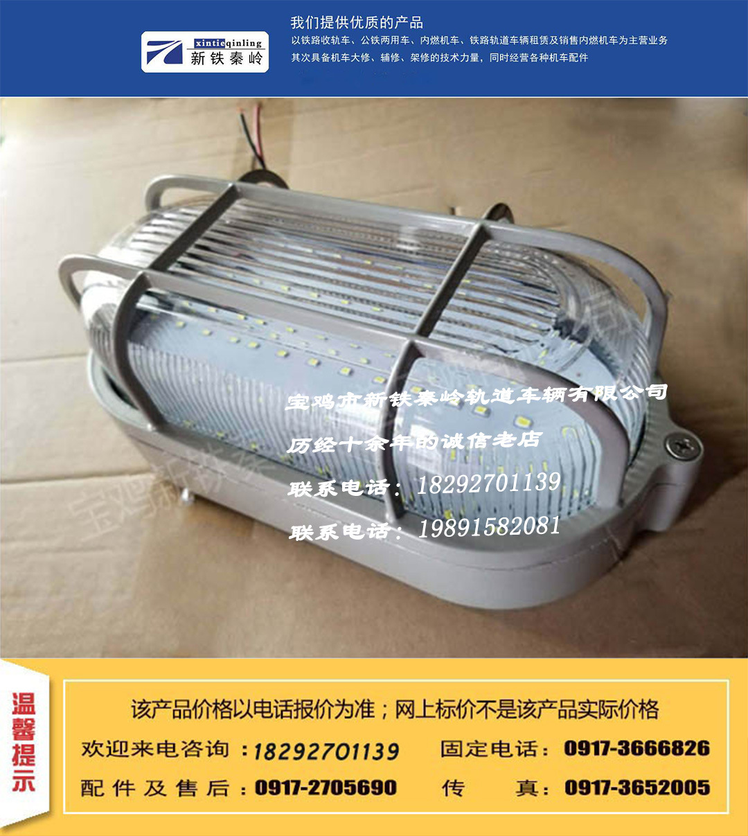 LED网罩灯 YX-WZ-5 9W DC 24V 防震投光灯