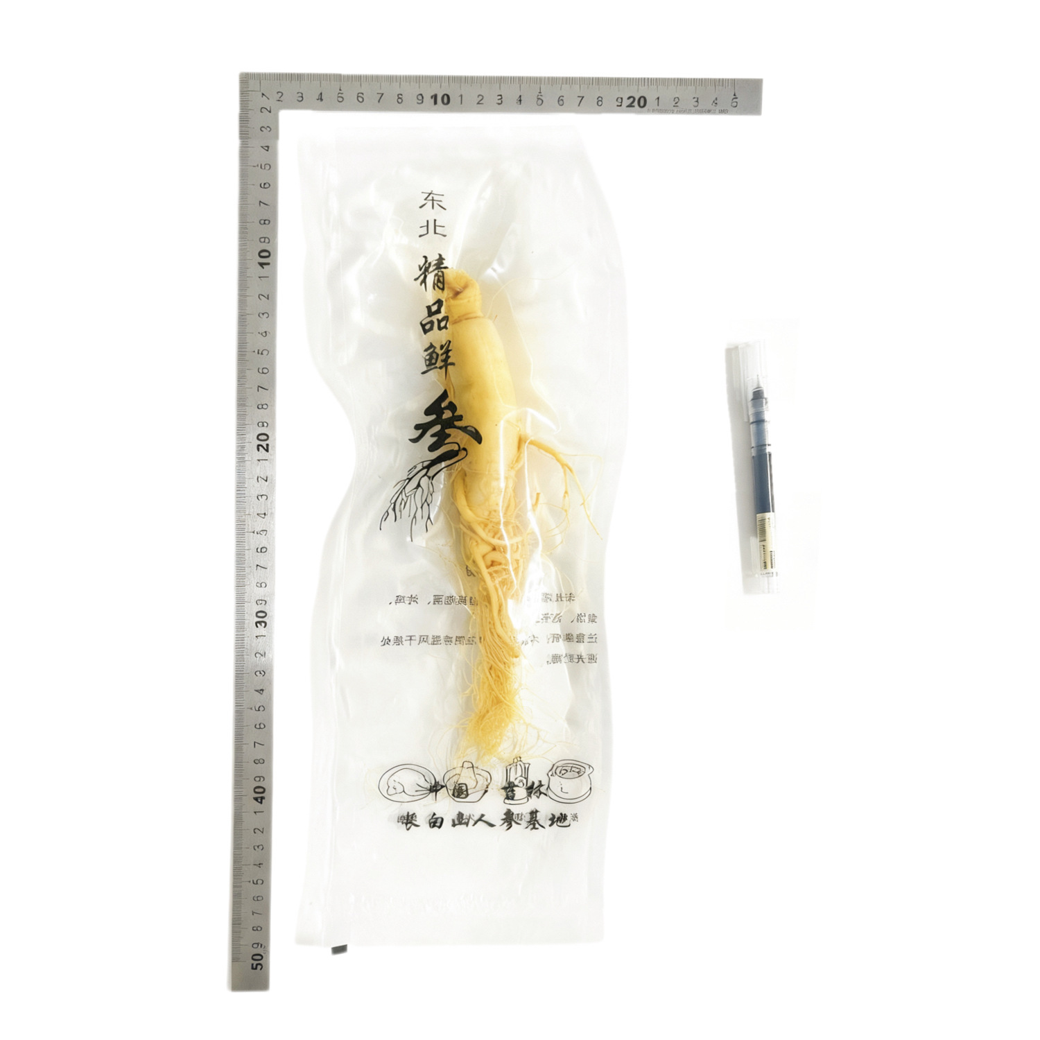 【鮮人参】長白山人参卸売メーカー直販 東北特産新鮮人参 酒漬け人参 生人参