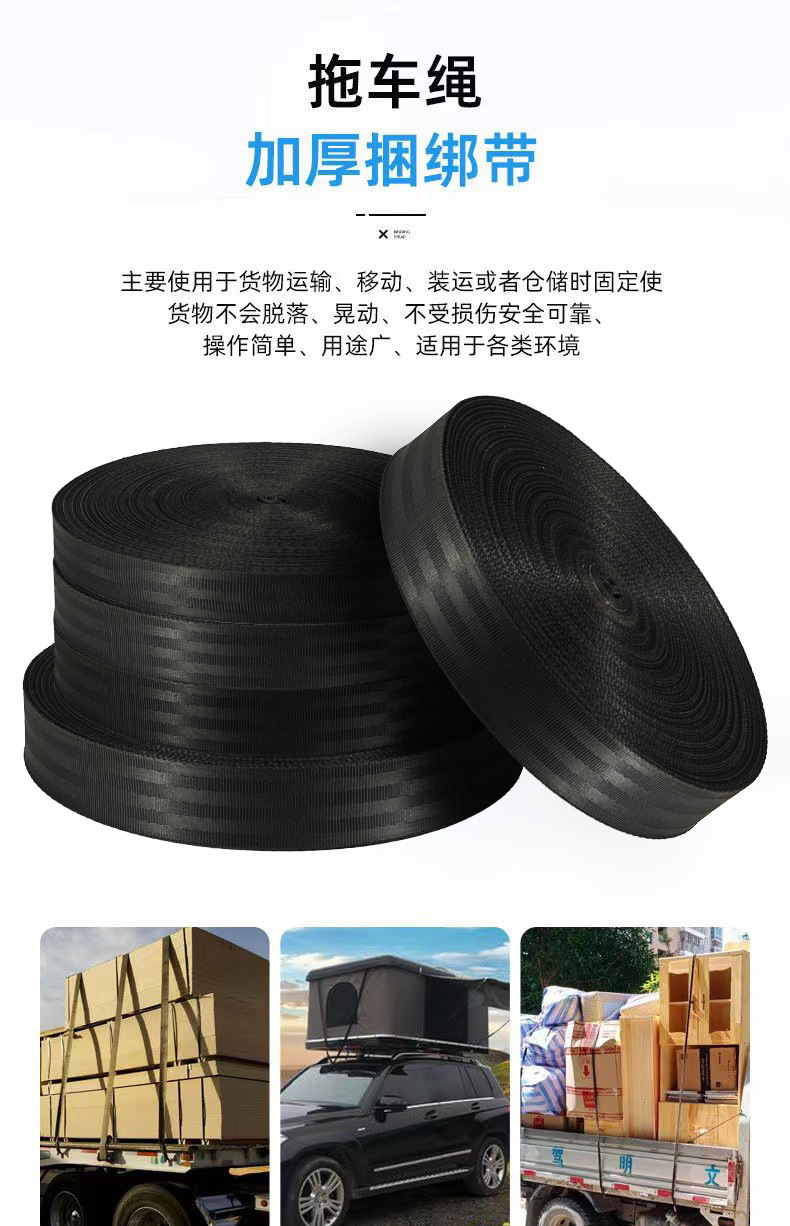 High Strength Polyester Cargo Lashing Strap Car Safety Belt