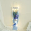 Full Sky+2 Roses [Blue] Give a gift bag with lights